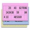 Carton loto une grille